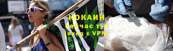 тгк Богданович